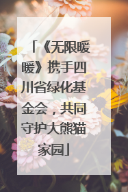《无限暖暖》携手四川省绿化基金会，共同守护大熊猫家园