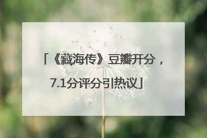 《藏海传》豆瓣开分，7.1分评分引热议