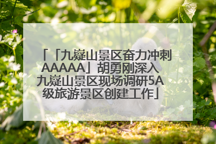「九嶷山景区奋力冲刺AAAAA」胡勇刚深入九嶷山景区现场调研5A级旅游景区创建工作