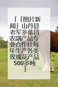 「图片新闻」山丹县老军乡蕃昌农副产品专业合作社每年生产各类玫瑰花产品500多吨