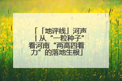 「地评线」河声丨从“一粒种子”看河南“两高四着力”的落地生根