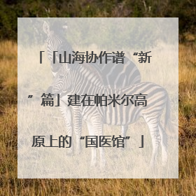 「山海协作谱“新”篇」建在帕米尔高原上的“国医馆”