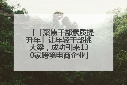 「聚焦干部素质提升年」让年轻干部挑大梁，成功引来130家跨境电商企业
