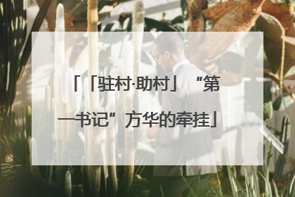 「驻村·助村」“第一书记”方华的牵挂