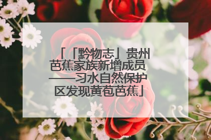 「黔物志」贵州芭蕉家族新增成员——习水自然保护区发现黄苞芭蕉