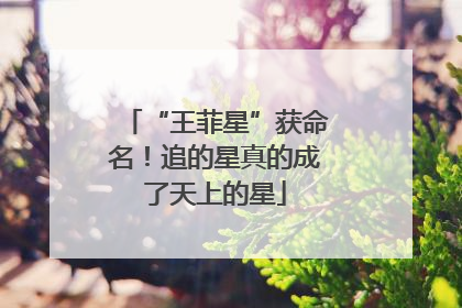 “王菲星”获命名！追的星真的成了天上的星