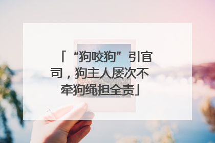 “狗咬狗”引官司，狗主人屡次不牵狗绳担全责