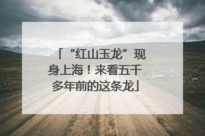 “红山玉龙”现身上海！来看五千多年前的这条龙