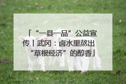 “一县一品”公益宣传丨武冈：卤水里熬出“草根经济”的醇香