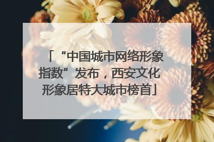 “中国城市网络形象指数”发布，西安文化形象居特大城市榜首