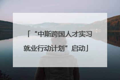 “中斯跨国人才实习就业行动计划”启动
