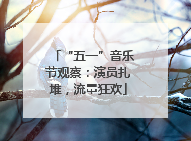 “五一”音乐节观察：演员扎堆，流量狂欢