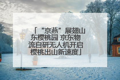 “京燕”展翅山东樱桃园 京东物流自研无人机开启樱桃出山新速度