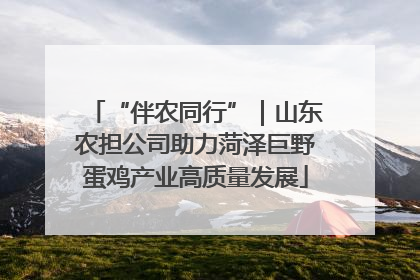 “伴农同行”｜山东农担公司助力菏泽巨野蛋鸡产业高质量发展