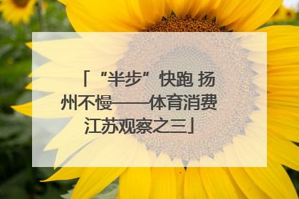 “半步”快跑 扬州不慢——体育消费江苏观察之三
