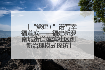 “党建+”谱写幸福莲滨——福建新罗南城街道莲滨社区创新治理模式探访