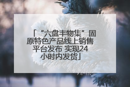 “六盘丰物集”固原特色产品线上销售平台发布 实现24小时内发货