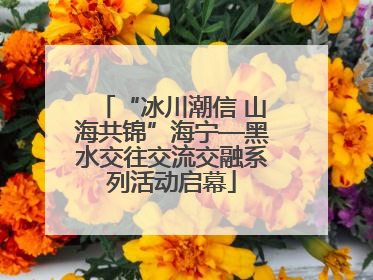 “冰川潮信 山海共锦”海宁—黑水交往交流交融系列活动启幕