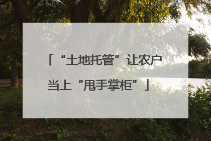 “土地托管”让农户当上“甩手掌柜”