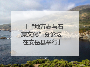 “地方志与石窟文化”分论坛在安岳县举行