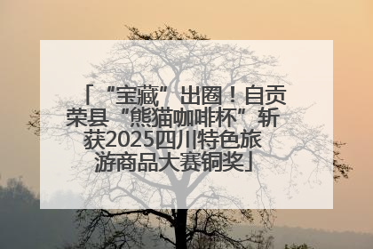 “宝藏”出圈！自贡荣县“熊猫咖啡杯”斩获2025四川特色旅游商品大赛铜奖