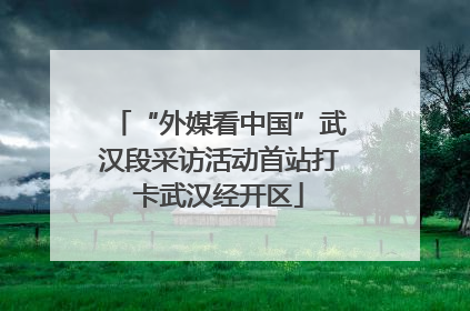 “外媒看中国”武汉段采访活动首站打卡武汉经开区