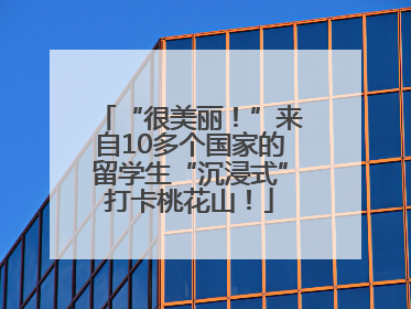 “很美丽！”来自10多个国家的留学生“沉浸式”打卡桃花山！