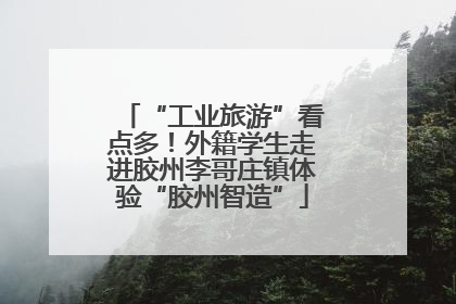 “工业旅游”看点多！外籍学生走进胶州李哥庄镇体验“胶州智造”