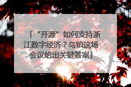 “开源”如何支持浙江数字经济？乌镇这场会议给出关键答案