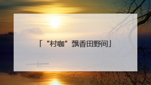 “村咖”飘香田野间