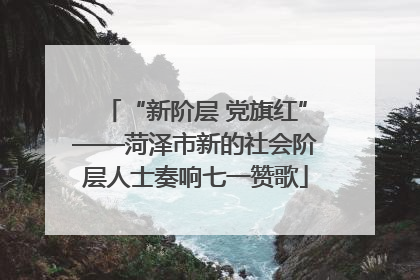 “新阶层 党旗红”——菏泽市新的社会阶层人士奏响七一赞歌