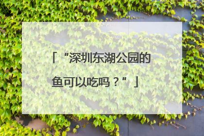 “深圳东湖公园的鱼可以吃吗？”