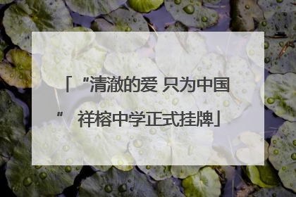 “清澈的爱 只为中国” 祥榕中学正式挂牌