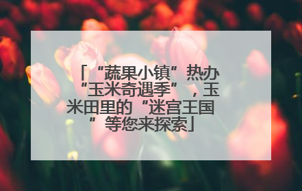 “蔬果小镇”热办“玉米奇遇季”，玉米田里的“迷宫王国”等您来探索