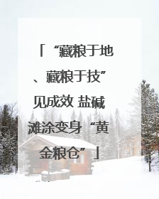 “藏粮于地、藏粮于技”见成效 盐碱滩涂变身“黄金粮仓”