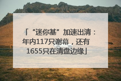 “迷你基”加速出清：年内117只谢幕，还有1655只在清盘边缘