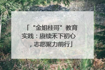 “金姐桂哥”教育实践：赓续禾下初心，志愿聚力前行
