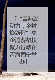 “青海源动力，乡村焕新程”央企消费帮扶聚力行动在青海西宁举办