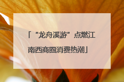 “龙舟溪游”点燃江南西商圈消费热潮