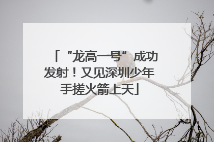 “龙高一号”成功发射！又见深圳少年手搓火箭上天