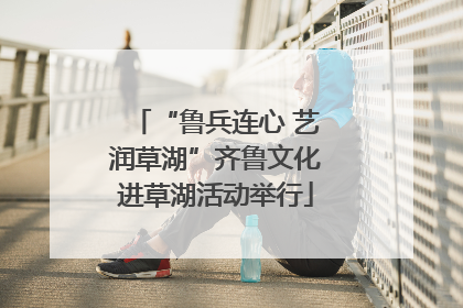“鲁兵连心 艺润草湖”齐鲁文化进草湖活动举行
