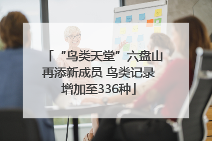 “鸟类天堂”六盘山再添新成员 鸟类记录增加至336种
