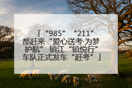 “985”“211”都赶来“爱心送考·为梦护航” 镇江“镇悦行”车队正式发车“赶考”