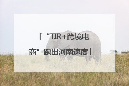 “TIR+跨境电商”跑出河南速度
