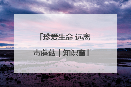珍爱生命 远离毒蘑菇｜知识窗