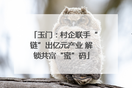 玉门：村企联手“链”出亿元产业 解锁共富“蜜”码