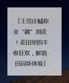王哥庄喊你来“趣”割麦！麦田里的丰收狂欢，解锁田园新体验