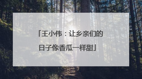 王小伟：让乡亲们的日子像香瓜一样甜