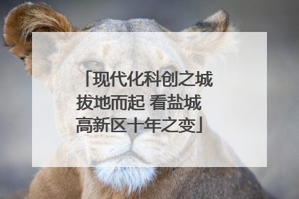 现代化科创之城拔地而起 看盐城高新区十年之变