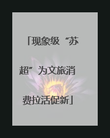 现象级“苏超”为文旅消费拉活促新